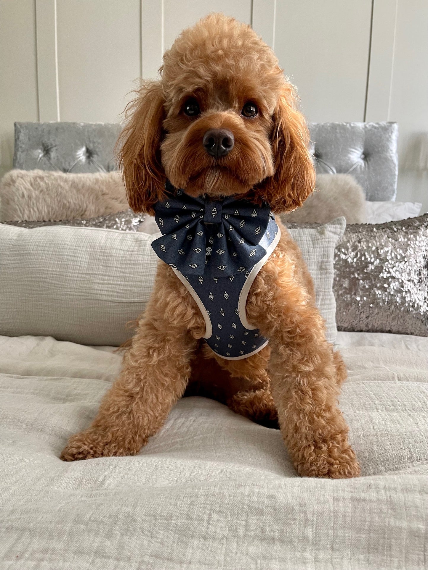 Dark Blue and Handsome Harness